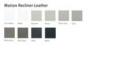 Motion Recliner Leather
