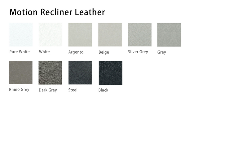 Motion Recliner Leather
